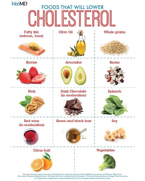 cholesterol diet